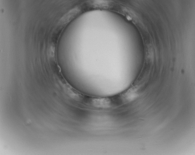 X0000060750281200511241711