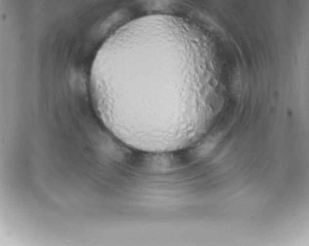 X0000060750282200511241711