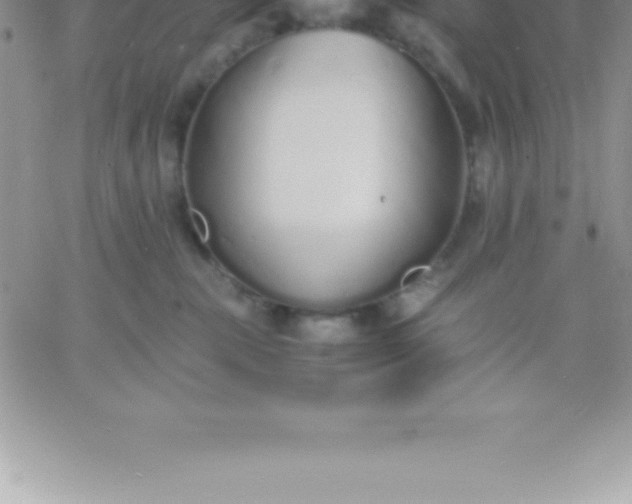 X0000060750283200511241711