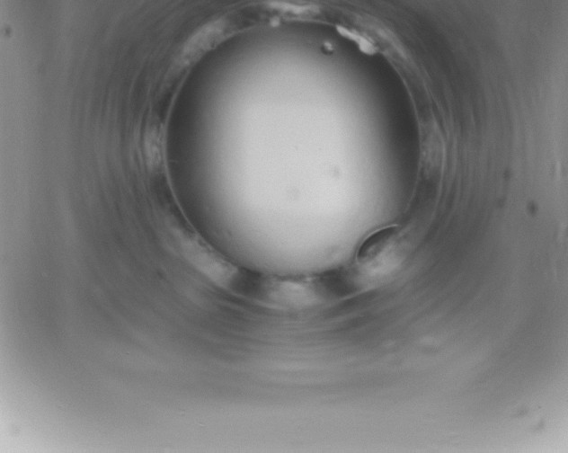 X0000060750285200511241711