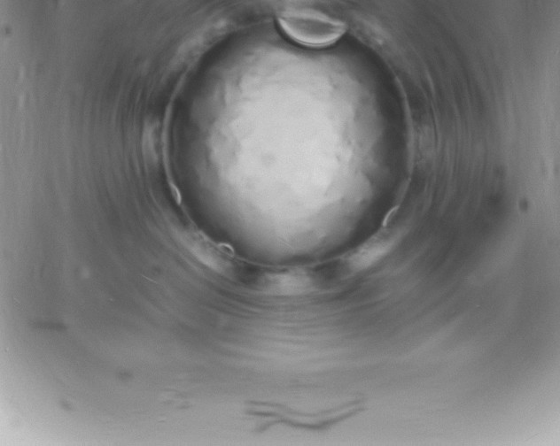 X0000060750286200511241711