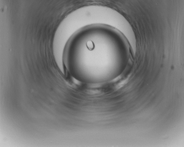 X0000060750287200511241711