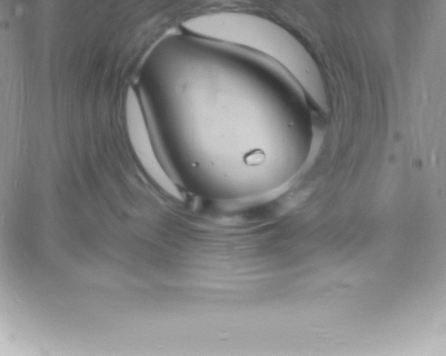 X0000060750288200511241711