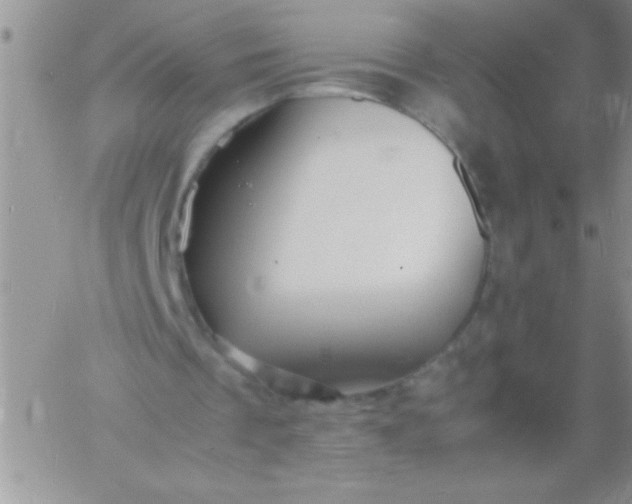 X0000060750289200511241710