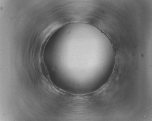 X0000060750290200511241710