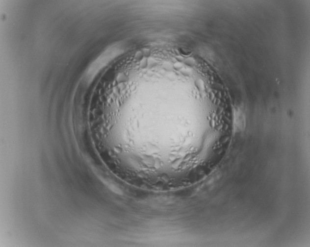 X0000060750291200511241710