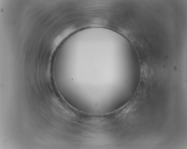 X0000060750292200511241710