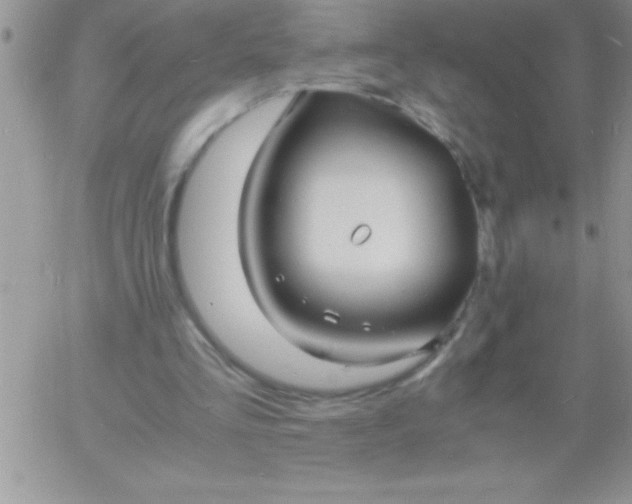 X0000060750293200511241710