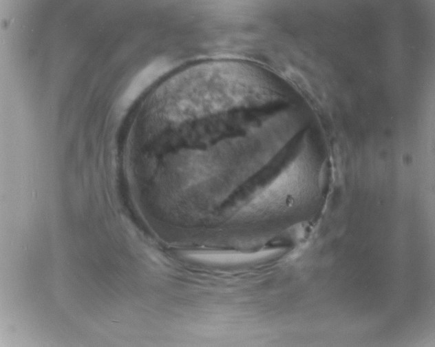 X0000060750295200511241710