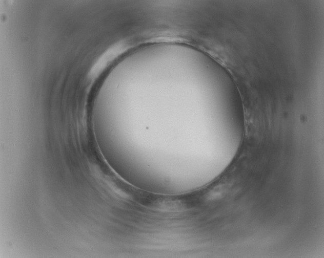 X0000060750296200511241710