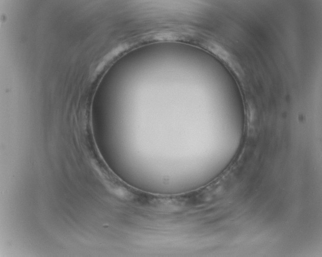 X0000060750297200511241710