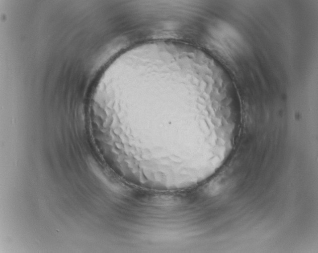 X0000060750298200511241710