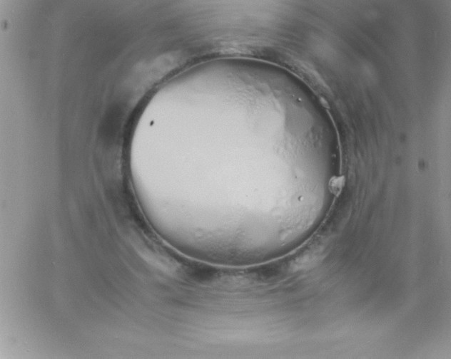 X0000060750299200511241710