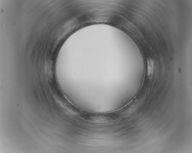 X0000060750300200511241710