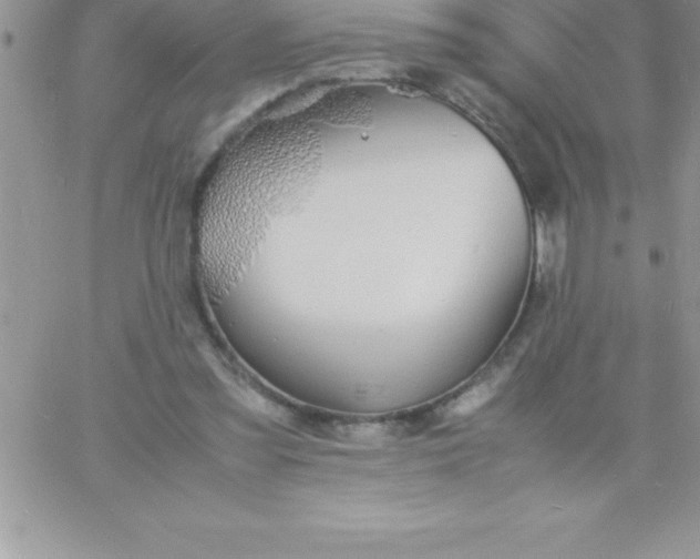 X0000060750301200511241710