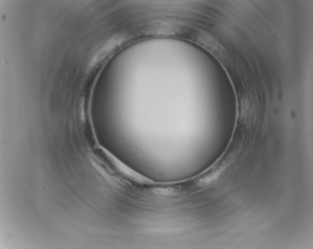 X0000060750302200511241710