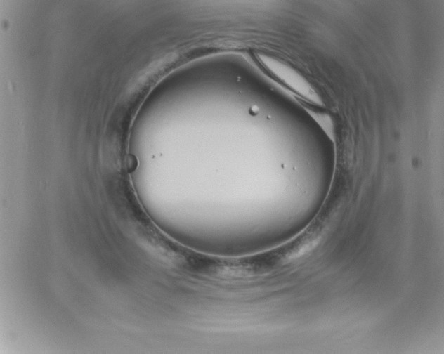 X0000060750303200511241710