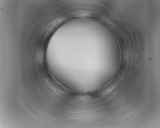 X0000060750304200511241710