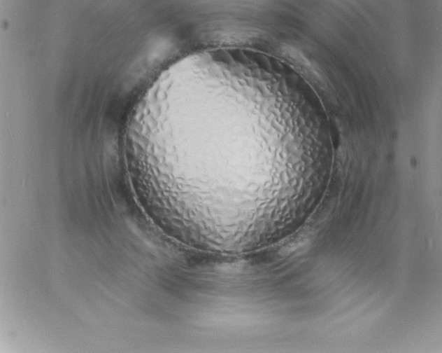 X0000060750306200511241710