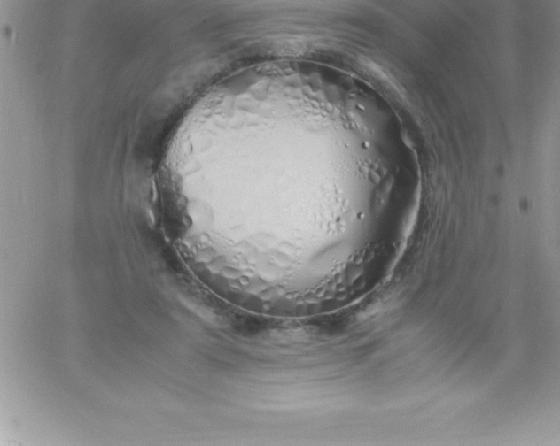 X0000060750307200511241710