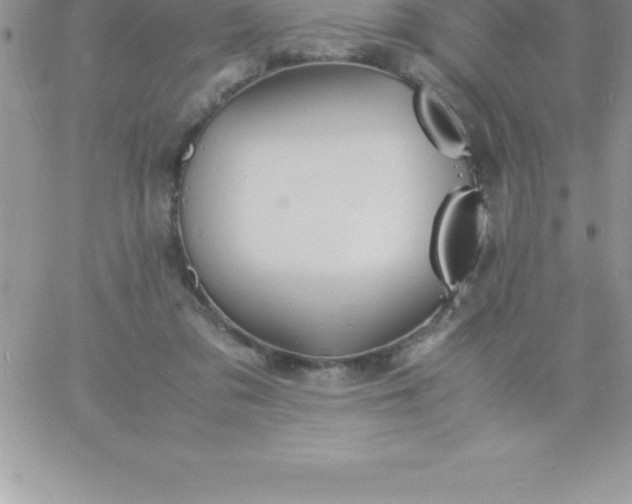 X0000060750309200511241710