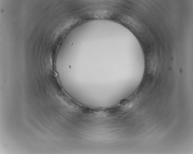 X0000060750310200511241710