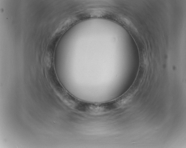 X0000060750311200511241710