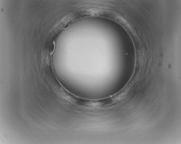 X0000060750313200511241710