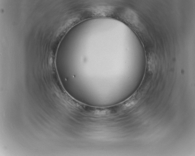 X0000060750314200511241710