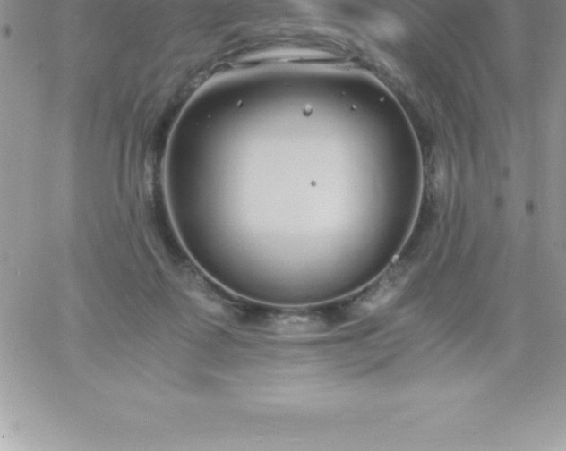 X0000060750315200511241710