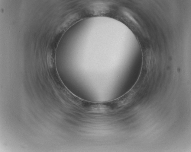 X0000060750316200511241710