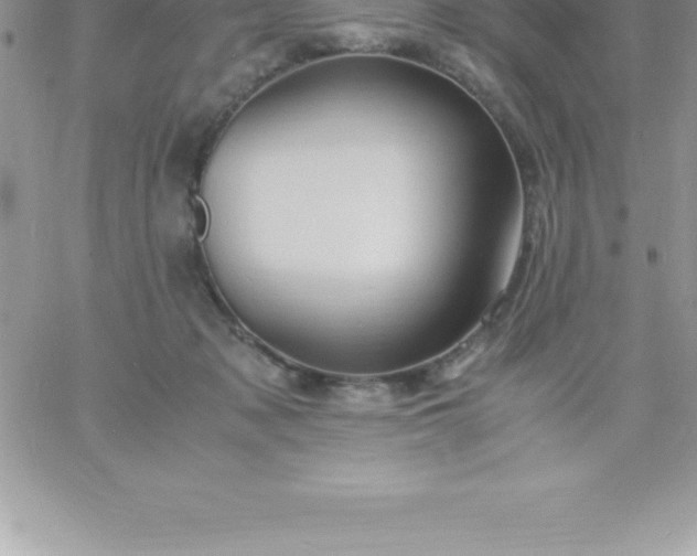 X0000060750317200511241710