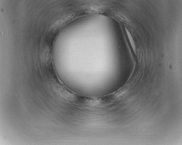 X0000060750318200511241710