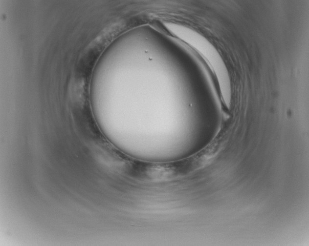 X0000060750319200511241710