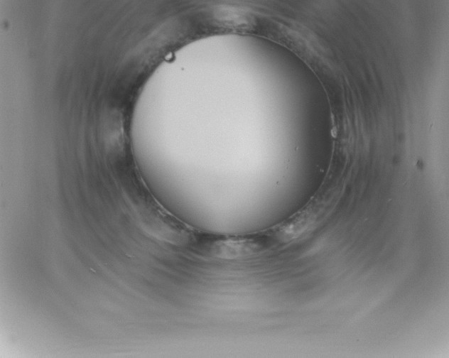 X0000060750320200511241710