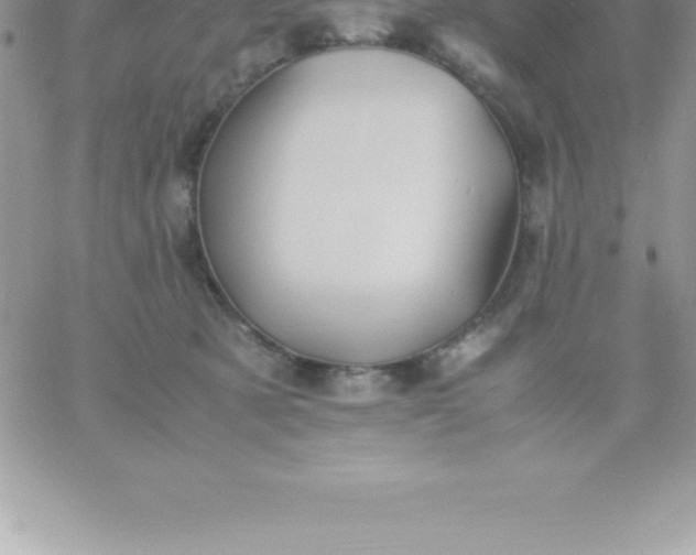 X0000060750321200511241710