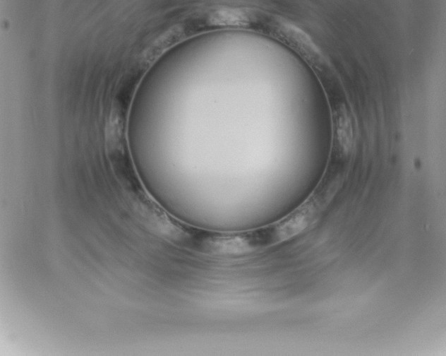 X0000060750322200511241710