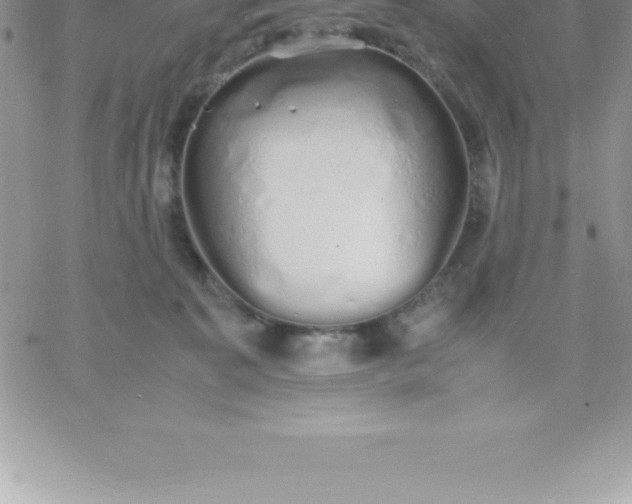 X0000060750323200511241710