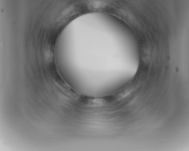 X0000060750324200511241710