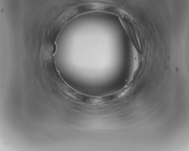 X0000060750325200511241709