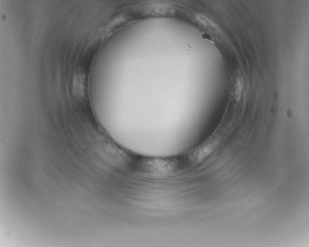 X0000060750326200511241709