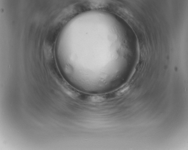 X0000060750327200511241709