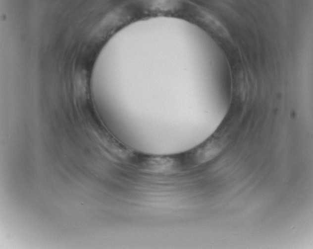 X0000060750328200511241709