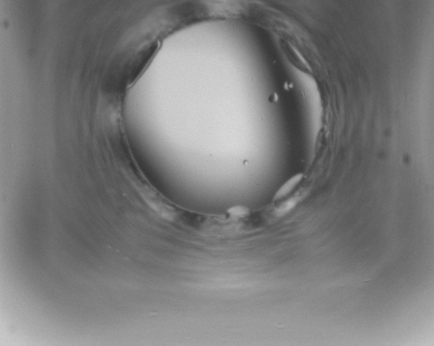 X0000060750329200511241709