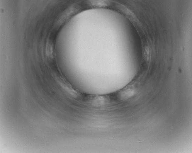 X0000060750330200511241709