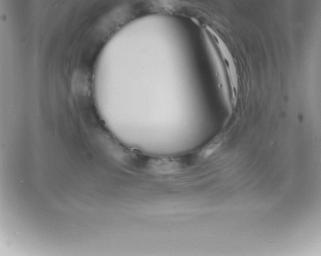 X0000060750331200511241709