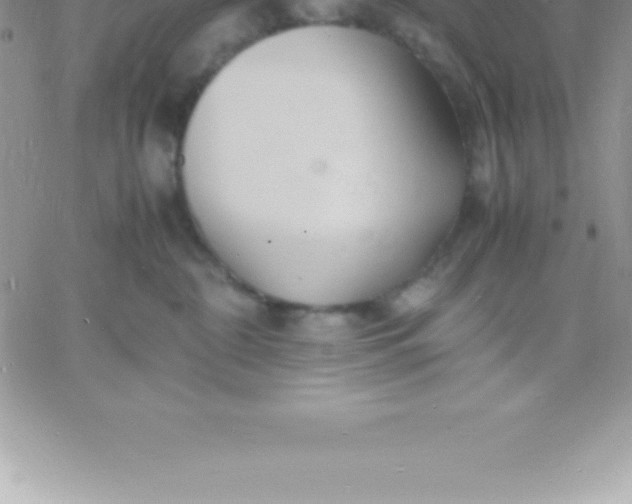 X0000060750332200511241709