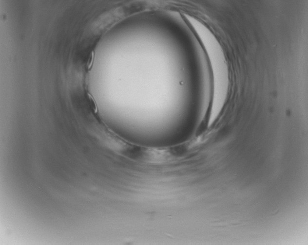 X0000060750333200511241709