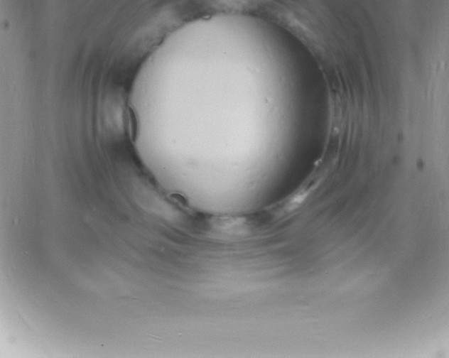 X0000060750334200511241709