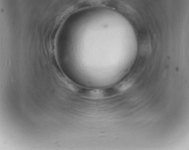 X0000060750335200511241709